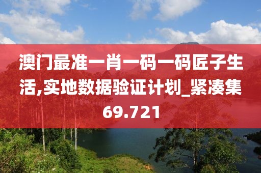 澳门最准一肖一码一码匠子生活,实地数据验证计划_紧凑集69.721
