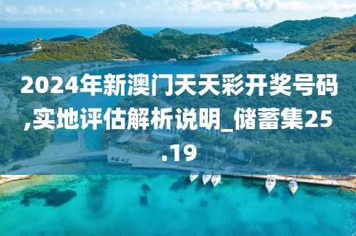 2024年新澳门天天彩开奖号码,实地评估解析说明_储蓄集25.19
