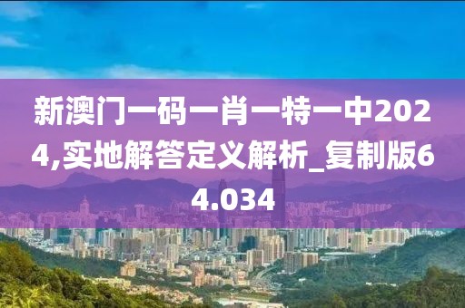 新澳门一码一肖一特一中2024,实地解答定义解析_复制版64.034