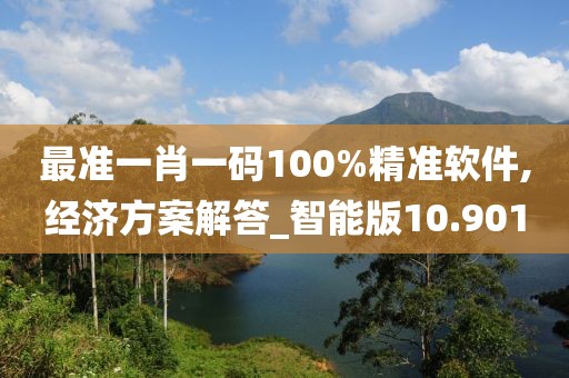 最准一肖一码100%精准软件,经济方案解答_智能版10.901