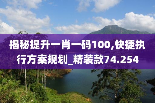 揭秘提升一肖一码100,快捷执行方案规划_精装款74.254