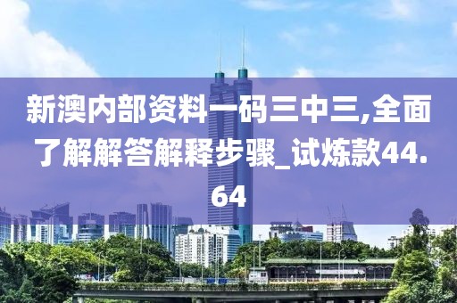 新澳内部资料一码三中三,全面了解解答解释步骤_试炼款44.64