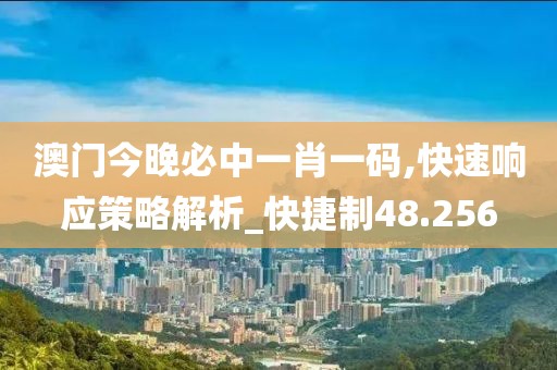 澳门今晚必中一肖一码,快速响应策略解析_快捷制48.256