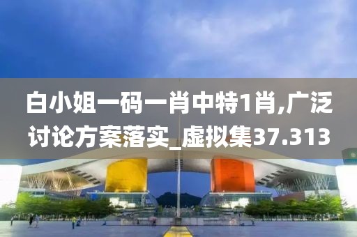 白小姐一码一肖中特1肖,广泛讨论方案落实_虚拟集37.313