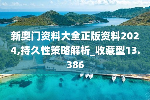 新奥门资料大全正版资料2024,持久性策略解析_收藏型13.386