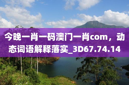 今晚一肖一码澳门一肖com，动态词语解释落实_3D67.74.14