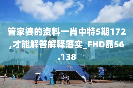 管家婆的资料一肖中特5期172,才能解答解释落实_FHD品56.138