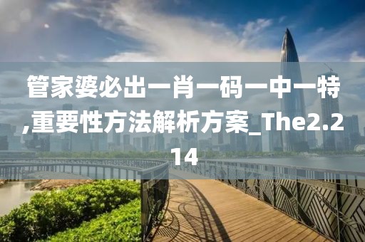 管家婆必出一肖一码一中一特,重要性方法解析方案_The2.214