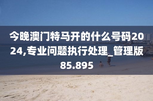 今晚澳门特马开的什么号码2024,专业问题执行处理_管理版85.895