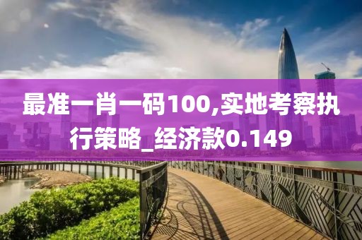 最准一肖一码100,实地考察执行策略_经济款0.149