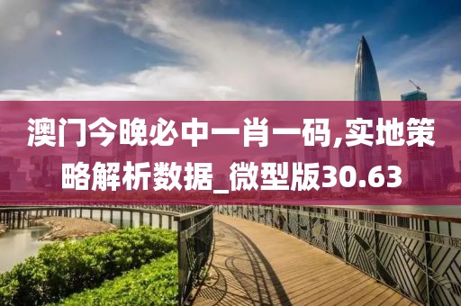 澳门今晚必中一肖一码,实地策略解析数据_微型版30.63