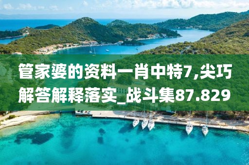 管家婆的资料一肖中特7,尖巧解答解释落实_战斗集87.829