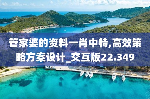 管家婆的资料一肖中特,高效策略方案设计_交互版22.349