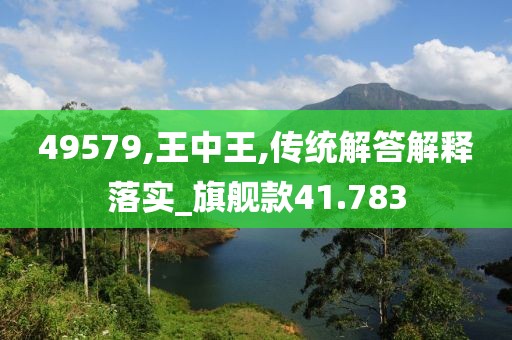 49579,王中王,传统解答解释落实_旗舰款41.783
