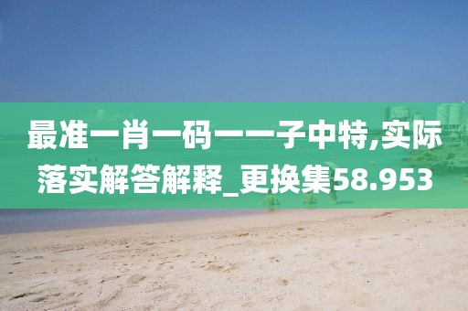 最准一肖一码一一子中特,实际落实解答解释_更换集58.953