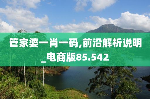 管家婆一肖一码,前沿解析说明_电商版85.542