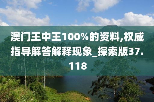 澳门王中王100%的资料,权威指导解答解释现象_探索版37.118