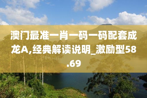 澳门最准一肖一码一码配套成龙A,经典解读说明_激励型58.69