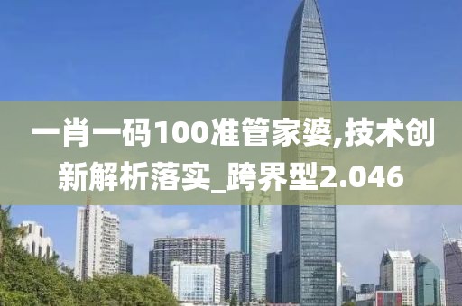 一肖一码100准管家婆,技术创新解析落实_跨界型2.046