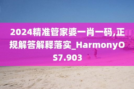2024精准管家婆一肖一码,正规解答解释落实_HarmonyOS7.903