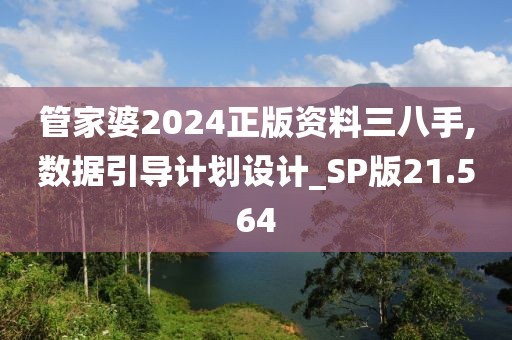 管家婆2024正版资料三八手,数据引导计划设计_SP版21.564