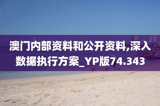 澳门内部资料和公开资料,深入数据执行方案_YP版74.343