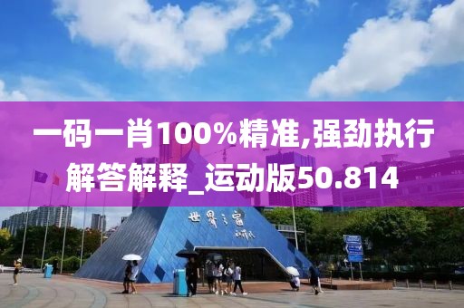 一码一肖100%精准,强劲执行解答解释_运动版50.814