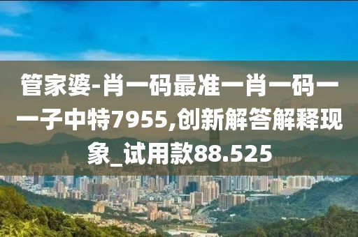 管家婆-肖一码最准一肖一码一一子中特7955,创新解答解释现象_试用款88.525