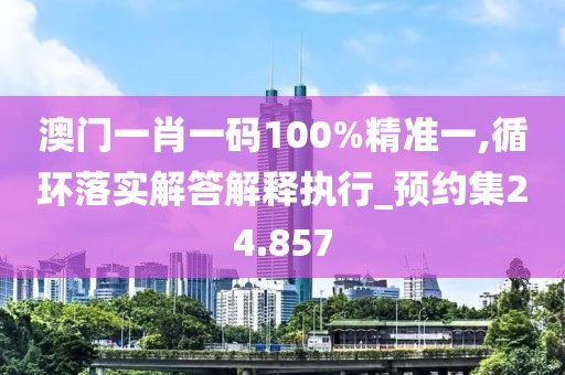 澳门一肖一码100%精准一,循环落实解答解释执行_预约集24.857