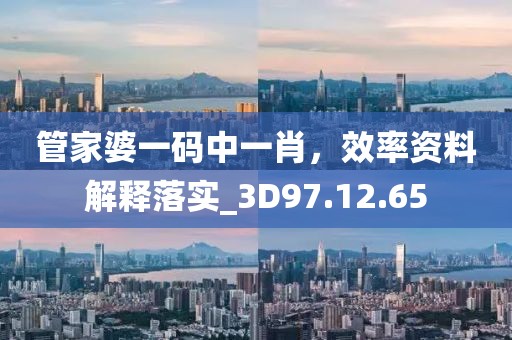 管家婆一码中一肖，效率资料解释落实_3D97.12.65