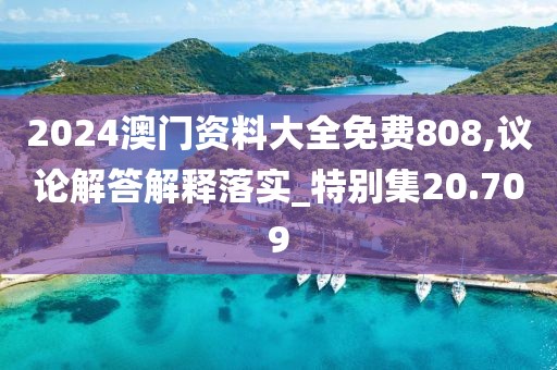2024澳门资料大全免费808,议论解答解释落实_特别集20.709
