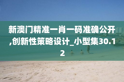 新澳门精准一肖一码准确公开,创新性策略设计_小型集30.12