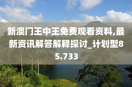 新澳门王中王免费观看资料,最新资讯解答解释探讨_计划型85.733