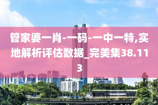 管家婆一肖-一码-一中一特,实地解析评估数据_完美集38.113