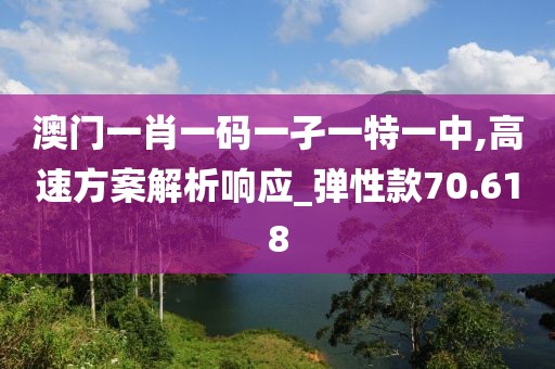 澳门一肖一码一孑一特一中,高速方案解析响应_弹性款70.618