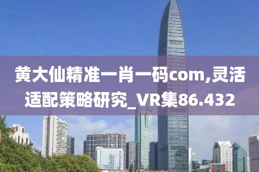 黄大仙精准一肖一码com,灵活适配策略研究_VR集86.432
