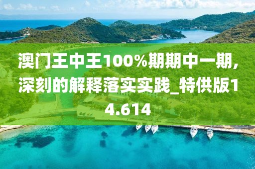 澳门王中王100%期期中一期,深刻的解释落实实践_特供版14.614