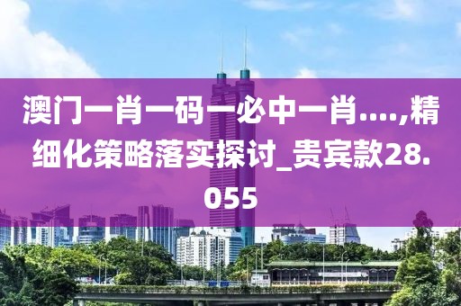 澳门一肖一码一必中一肖....,精细化策略落实探讨_贵宾款28.055