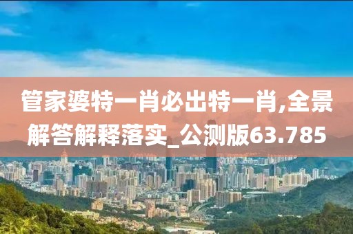 管家婆特一肖必出特一肖,全景解答解释落实_公测版63.785