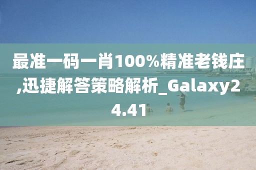 最准一码一肖100%精准老钱庄,迅捷解答策略解析_Galaxy24.41
