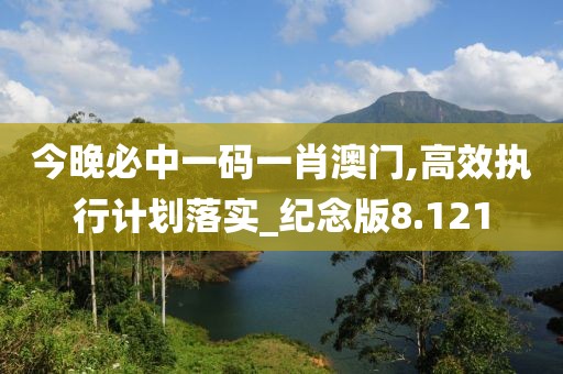 今晚必中一码一肖澳门,高效执行计划落实_纪念版8.121