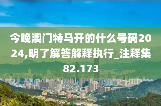 今晚澳门特马开的什么号码2024,明了解答解释执行_注释集82.173