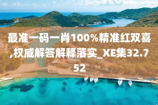 最准一码一肖100%精准红双喜,权威解答解释落实_XE集32.752