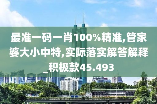 最准一码一肖100%精准,管家婆大小中特,实际落实解答解释_积极款45.493