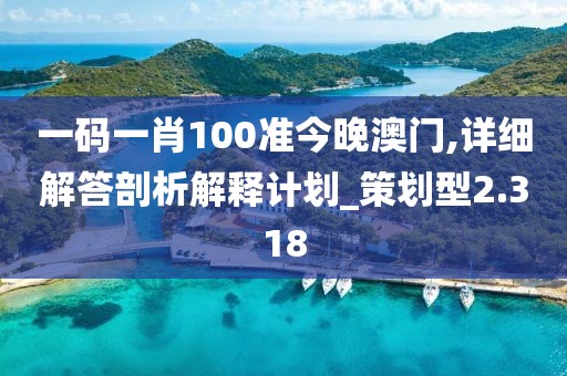 一码一肖100准今晚澳门,详细解答剖析解释计划_策划型2.318