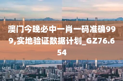 澳门今晚必中一肖一码准确999,实地验证数据计划_GZ76.654