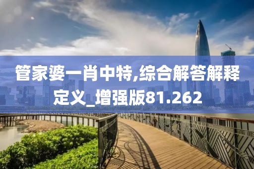 管家婆一肖中特,综合解答解释定义_增强版81.262