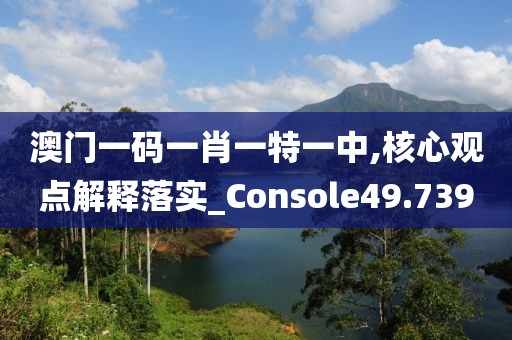 澳门一码一肖一特一中,核心观点解释落实_Console49.739