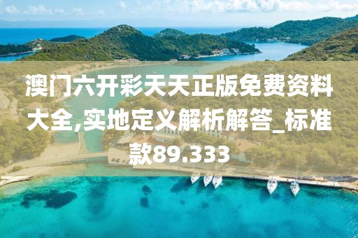 澳门六开彩天天正版免费资料大全,实地定义解析解答_标准款89.333