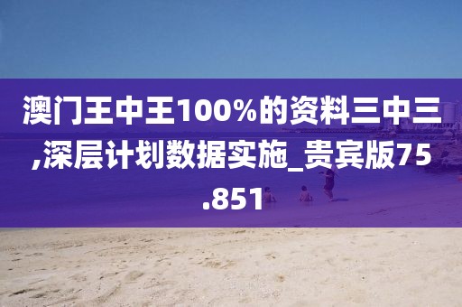 澳门王中王100%的资料三中三,深层计划数据实施_贵宾版75.851